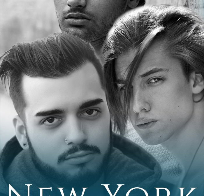 Cover Reveal – New York Nightwings – The Complete Collection – V.L. Locey
